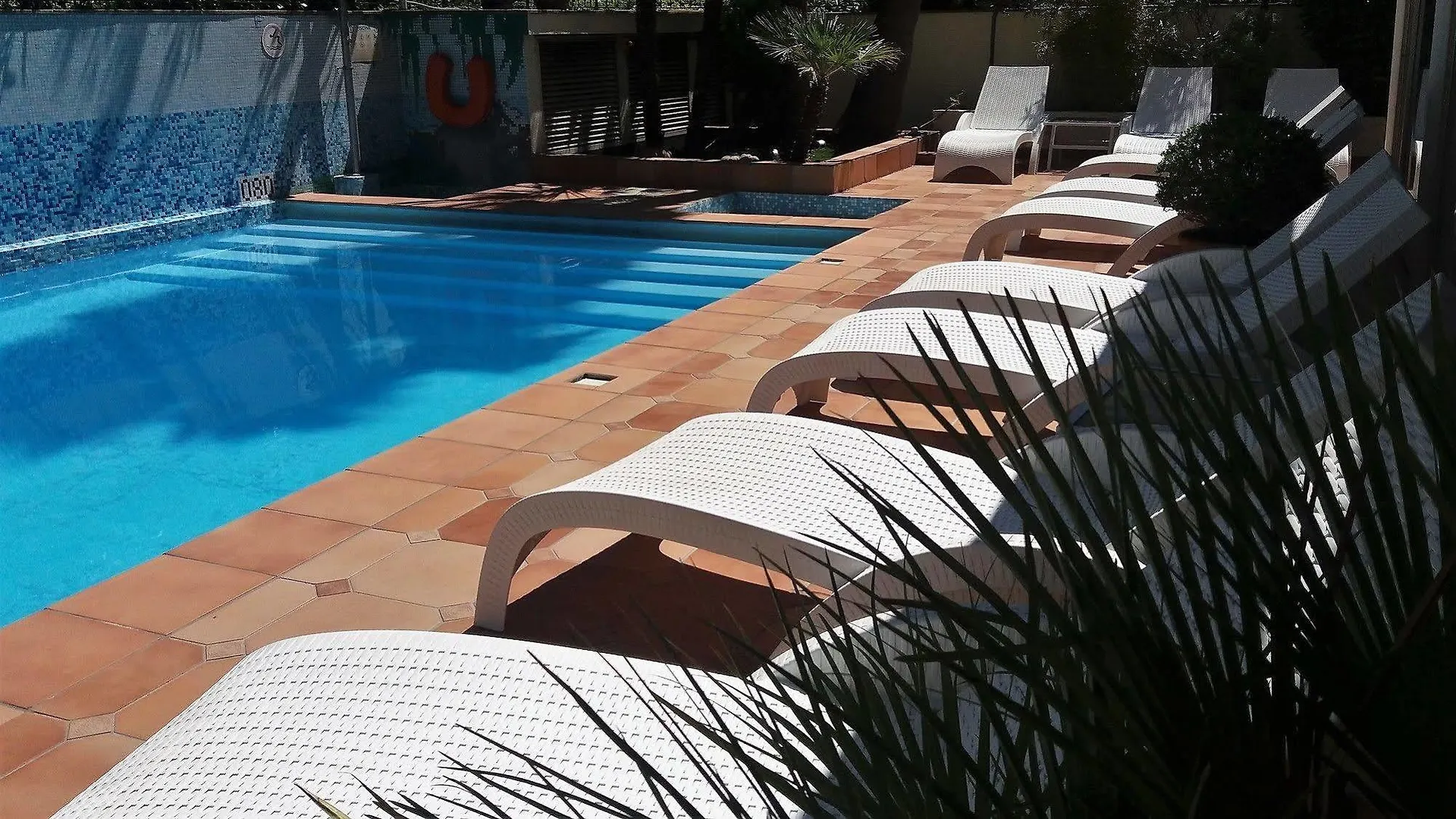 Amarante Cannes
